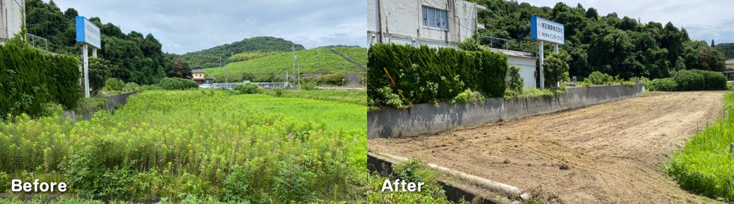 人力除草・伐採事例２