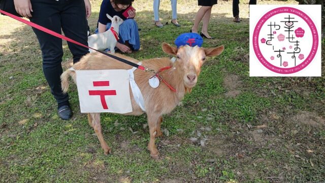 やぎーずイベント２